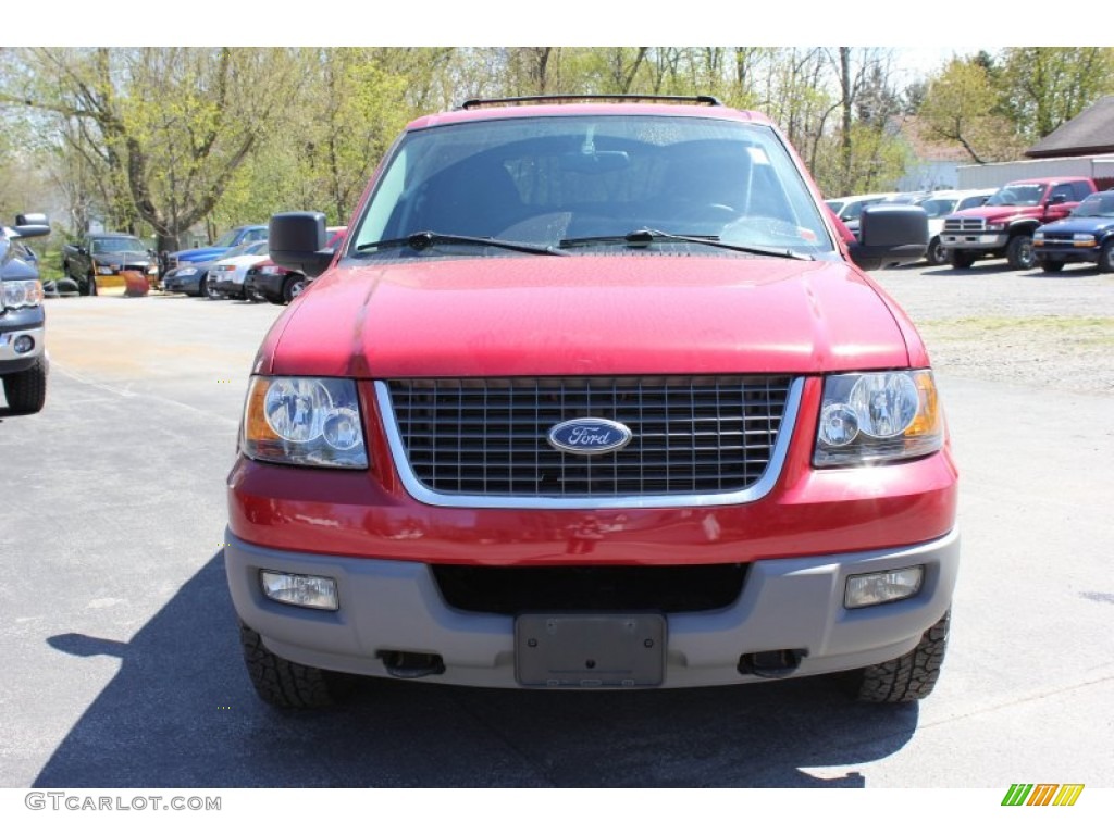 2003 Expedition XLT 4x4 - Laser Red Tinted Metallic / Flint Grey photo #19