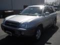 Pewter - Santa Fe GLS Photo No. 1