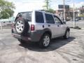 Zambezi Silver - Freelander SE Photo No. 5