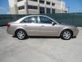 Golden Beige - Sonata GLS V6 Photo No. 2