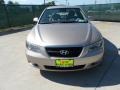 Golden Beige - Sonata GLS V6 Photo No. 8