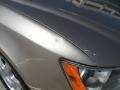 Golden Beige - Sonata GLS V6 Photo No. 14