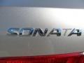Golden Beige - Sonata GLS V6 Photo No. 16