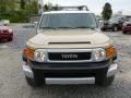 Quicksand - FJ Cruiser 4WD Photo No. 2