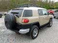Quicksand - FJ Cruiser 4WD Photo No. 6