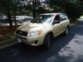Sandy Beach Metallic - RAV4 4WD Photo No. 3