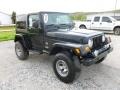 Black Clearcoat - Wrangler Sahara 4x4 Photo No. 7