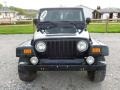 Black Clearcoat - Wrangler Sahara 4x4 Photo No. 8