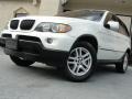 Alpine White - X5 3.0i Photo No. 1