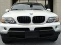 Alpine White - X5 3.0i Photo No. 3