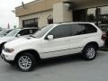 Alpine White - X5 3.0i Photo No. 7