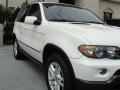 Alpine White - X5 3.0i Photo No. 8