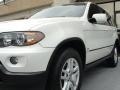 Alpine White - X5 3.0i Photo No. 9