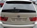 Alpine White - X5 3.0i Photo No. 10