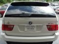 Alpine White - X5 3.0i Photo No. 11