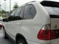 Alpine White - X5 3.0i Photo No. 12