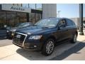 2009 Brilliant Black Audi Q5 3.2 Premium quattro  photo #1