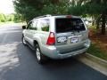 Titanium Metallic - 4Runner SR5 4x4 Photo No. 5