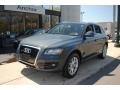2009 Meteor Gray Pearl Effect Audi Q5 3.2 Premium quattro #64034594