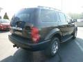 2005 Black Dodge Durango Limited 4x4  photo #3