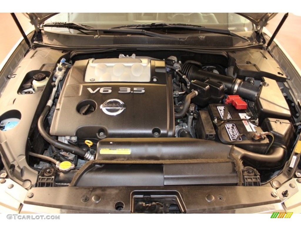 2004 Maxima 3.5 SE - Spirited Bronze / Black photo #21