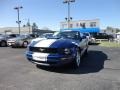 2008 Vista Blue Metallic Ford Mustang V6 Deluxe Coupe  photo #2