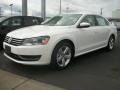 Candy White - Passat 2.5L SE Photo No. 5
