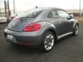 Platinum Gray Metallic - Beetle 2.5L Photo No. 2