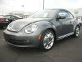 Platinum Gray Metallic - Beetle 2.5L Photo No. 5