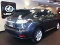 2010 Truffle Brown Mica Lexus RX 350 AWD  photo #2