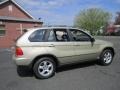 2002 Pearl Beige Metallic BMW X5 4.4i  photo #8