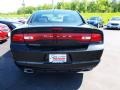 Brilliant Black Crystal Pearl - Charger SE Photo No. 6