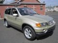 2002 Pearl Beige Metallic BMW X5 4.4i  photo #11