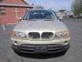 2002 Pearl Beige Metallic BMW X5 4.4i  photo #12