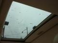 Diamond White Pearl - LS 400 Platinum Series Photo No. 11