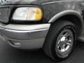 2001 Black Clearcoat Ford Expedition Eddie Bauer  photo #4