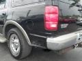 Black Clearcoat - Expedition Eddie Bauer Photo No. 8