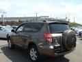 Pyrite Metallic - RAV4 Limited 4WD Photo No. 4