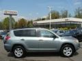 2007 Everglade Metallic Toyota RAV4 4WD  photo #1