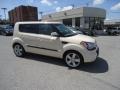 2011 Dune Beige Kia Soul !  photo #5