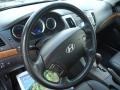 2010 Ebony Black Hyundai Sonata Limited V6  photo #26