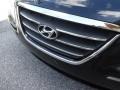 2010 Ebony Black Hyundai Sonata Limited V6  photo #46