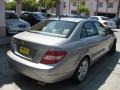 2008 Pewter Metallic Mercedes-Benz C 300 Luxury  photo #2