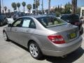 2008 Pewter Metallic Mercedes-Benz C 300 Luxury  photo #4