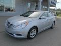 Radiant Silver - Sonata GLS Photo No. 2