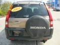 2003 Mojave Mist Metallic Honda CR-V EX 4WD  photo #8