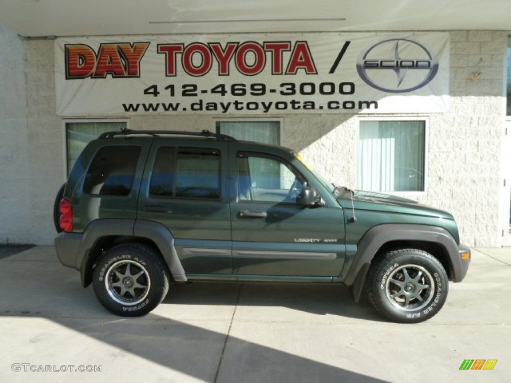 2002 Liberty Sport 4x4 - Shale Green Metallic / Dark Slate Gray photo #1