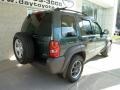 2002 Shale Green Metallic Jeep Liberty Sport 4x4  photo #2