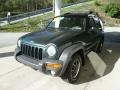 2002 Shale Green Metallic Jeep Liberty Sport 4x4  photo #5