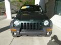 2002 Shale Green Metallic Jeep Liberty Sport 4x4  photo #6